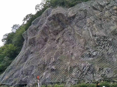 主动边坡防护网图片4